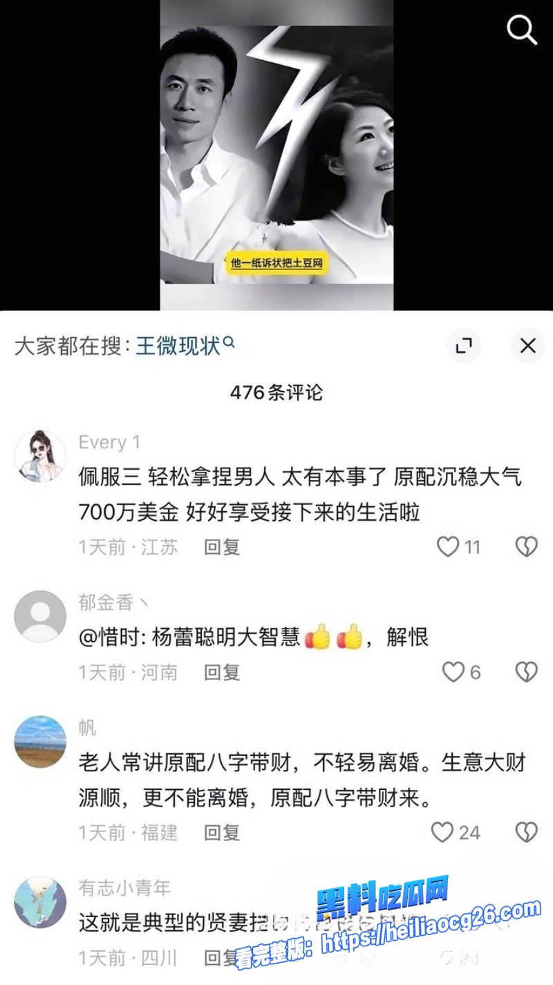 土豆网创始人王微10 土豆网创始人王微10