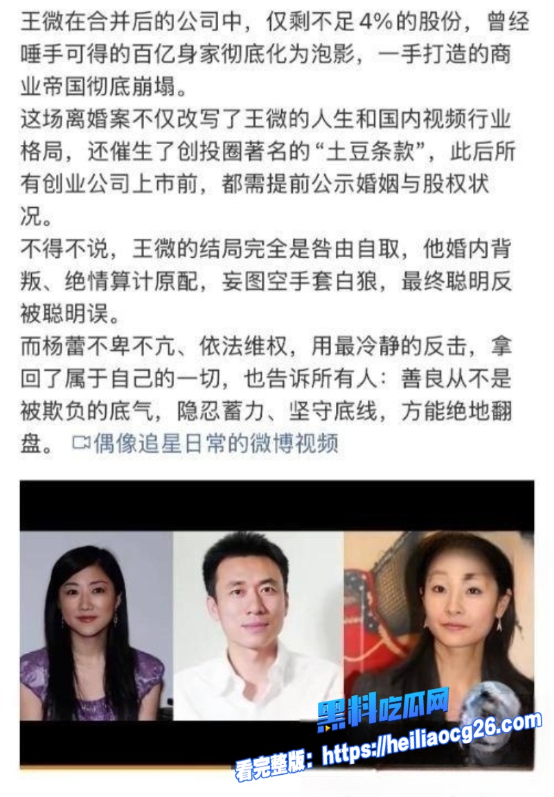 土豆网创始人王微14 土豆网创始人王微14