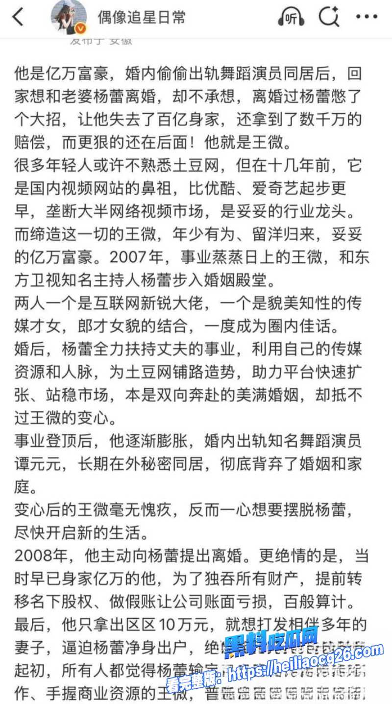 土豆网创始人王微15 土豆网创始人王微15