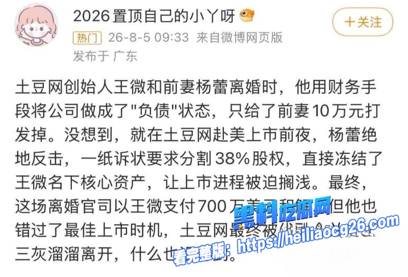 土豆网创始人王微17 土豆网创始人王微17