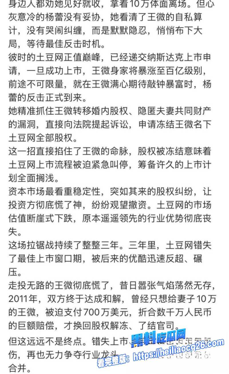 土豆网创始人王微18 土豆网创始人王微18