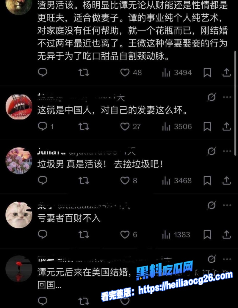 土豆网创始人王微19 土豆网创始人王微19