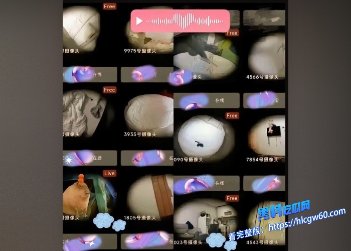 中国版N号房事件 MaskPark树洞论坛受害人超90万全网热议，中国版N号房事件 MaskPark树洞论坛分享偷拍国内女性 受害人超90万海内外媒体炸了！全网热议，中国版N号房事件 MaskPark树洞论坛分享偷拍国内女性 受害人超90万图7.jpg