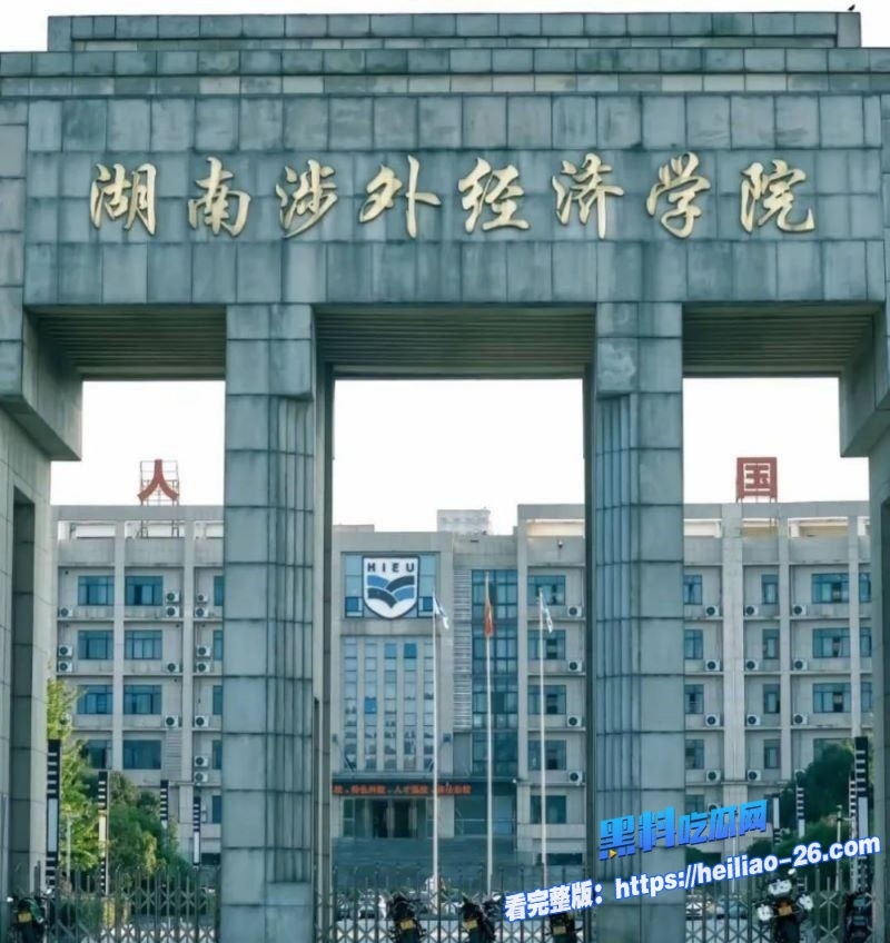 湖南涉外经济学院年末双杀大瓜捞钱女王撩汉秘籍录音流出直接社死闺蜜双飞滴滴司机大尺度聊天记录和床战全曝光 12