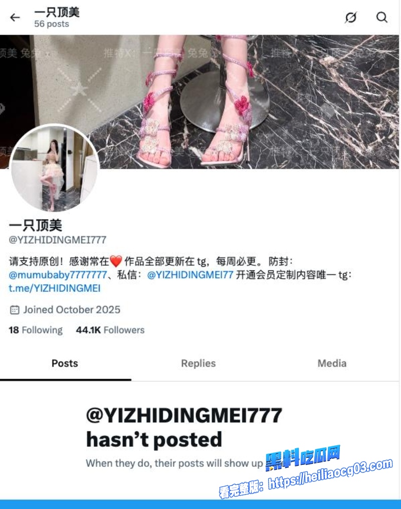 推特网红一只顶美4 推特网红一只顶美4