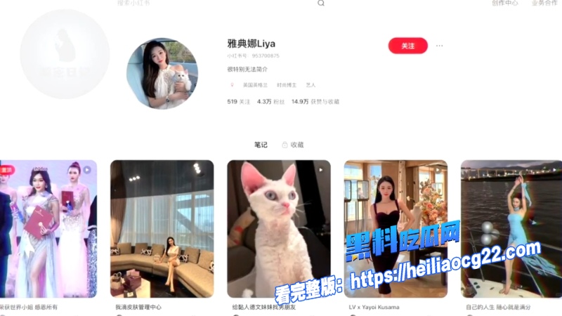 百万网红雅典娜15