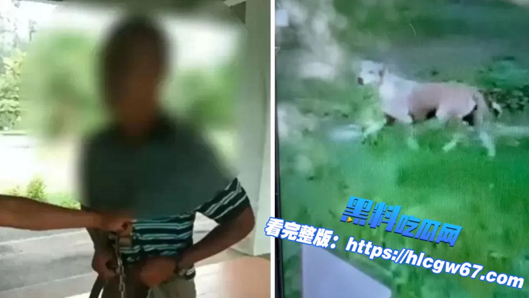 退休在即晚节不保!宋卡府59岁公务员光天化日公园 性侵母狗,志愿者:他已多次作案01 退休在即晚节不保!宋卡府59岁公务员光天化日公园 性侵母狗,志愿者:他已多次作案01