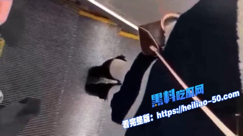 极限挑战沈阳地铁呲尿哥横空出世见妹子就当场尿裤子还帮擦街射偷拍全曝光 9 极限挑战沈阳地铁呲尿哥横空出世见妹子就当场尿裤子还帮擦街射偷拍全曝光 9