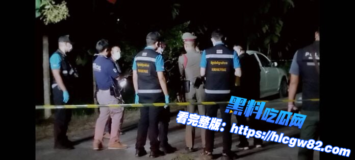泰国儿童遭逃出来的狮子入院袭击01 泰国儿童遭逃出来的狮子入院袭击01
