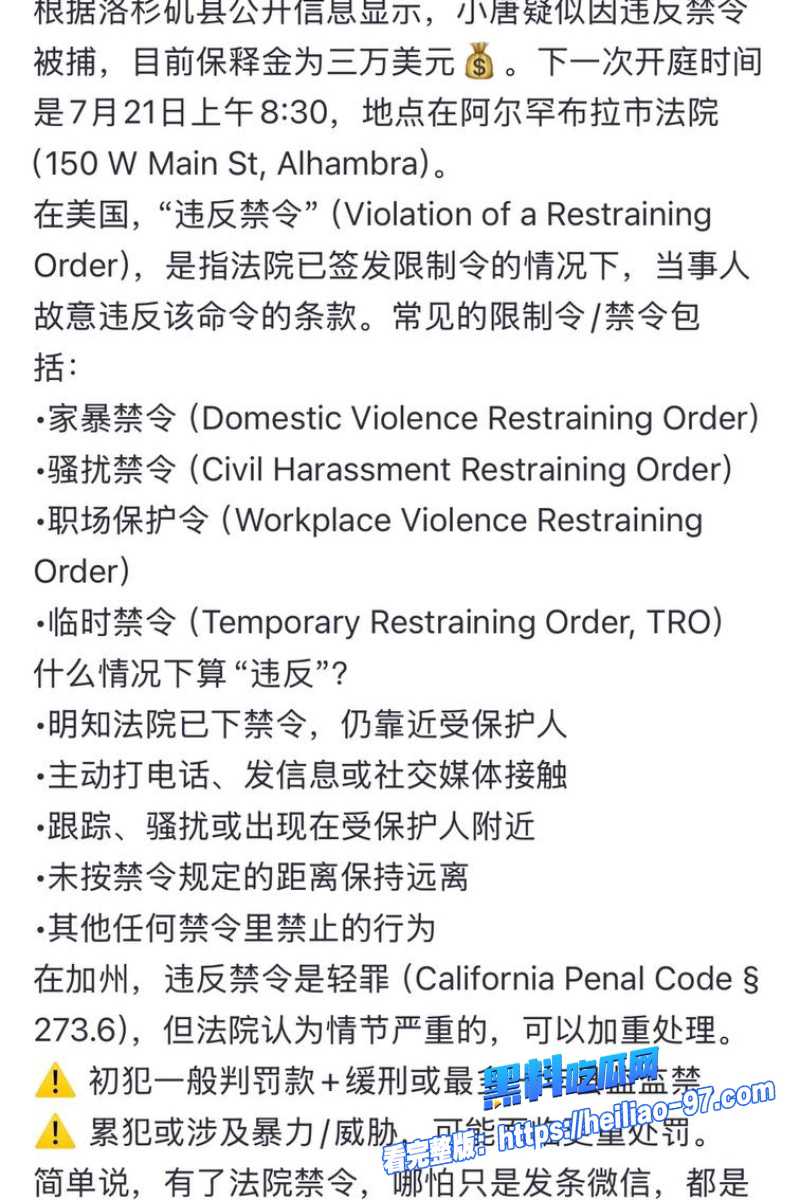 洛杉矶华人网红小唐酱香饼26