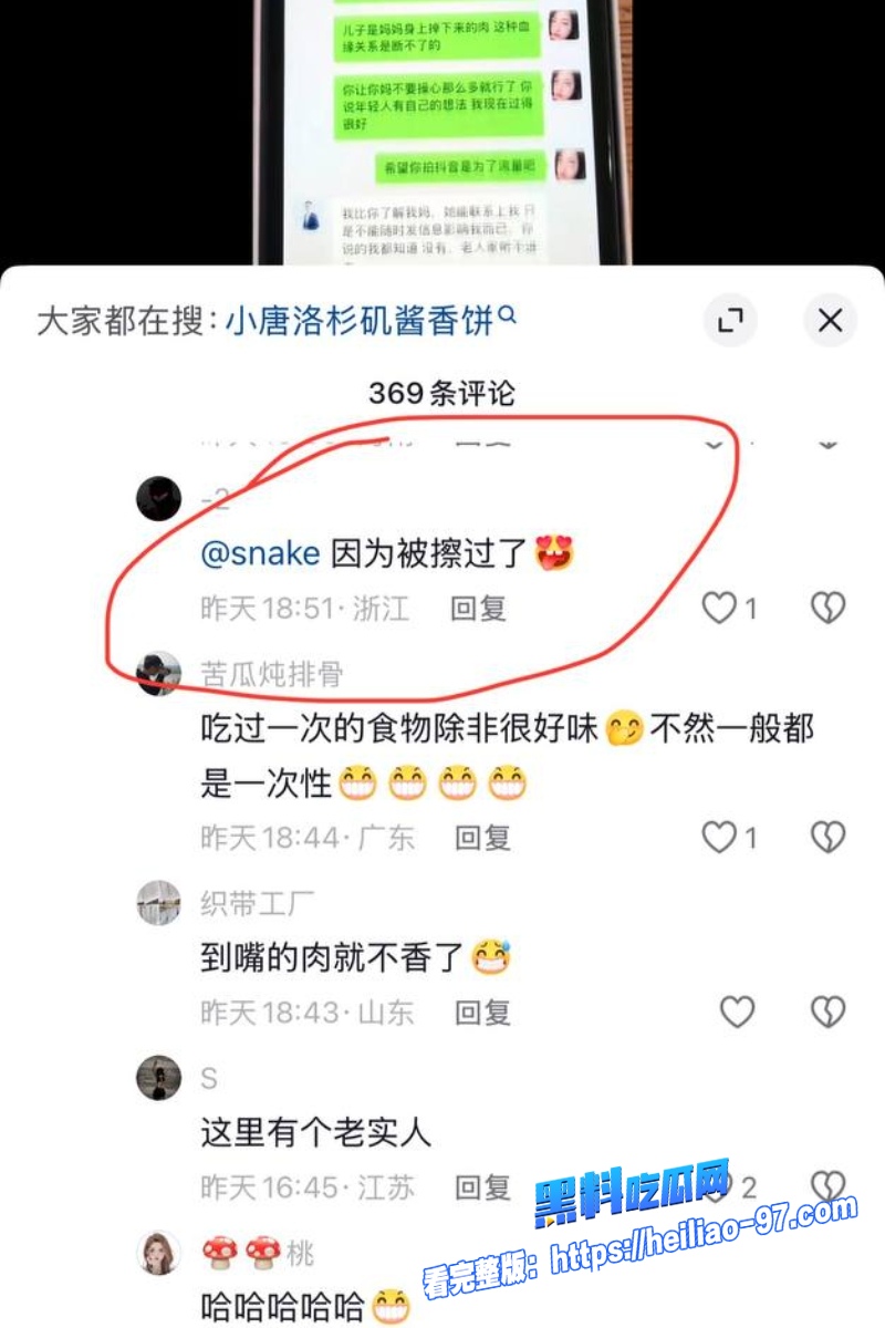 洛杉矶华人网红小唐酱香饼28