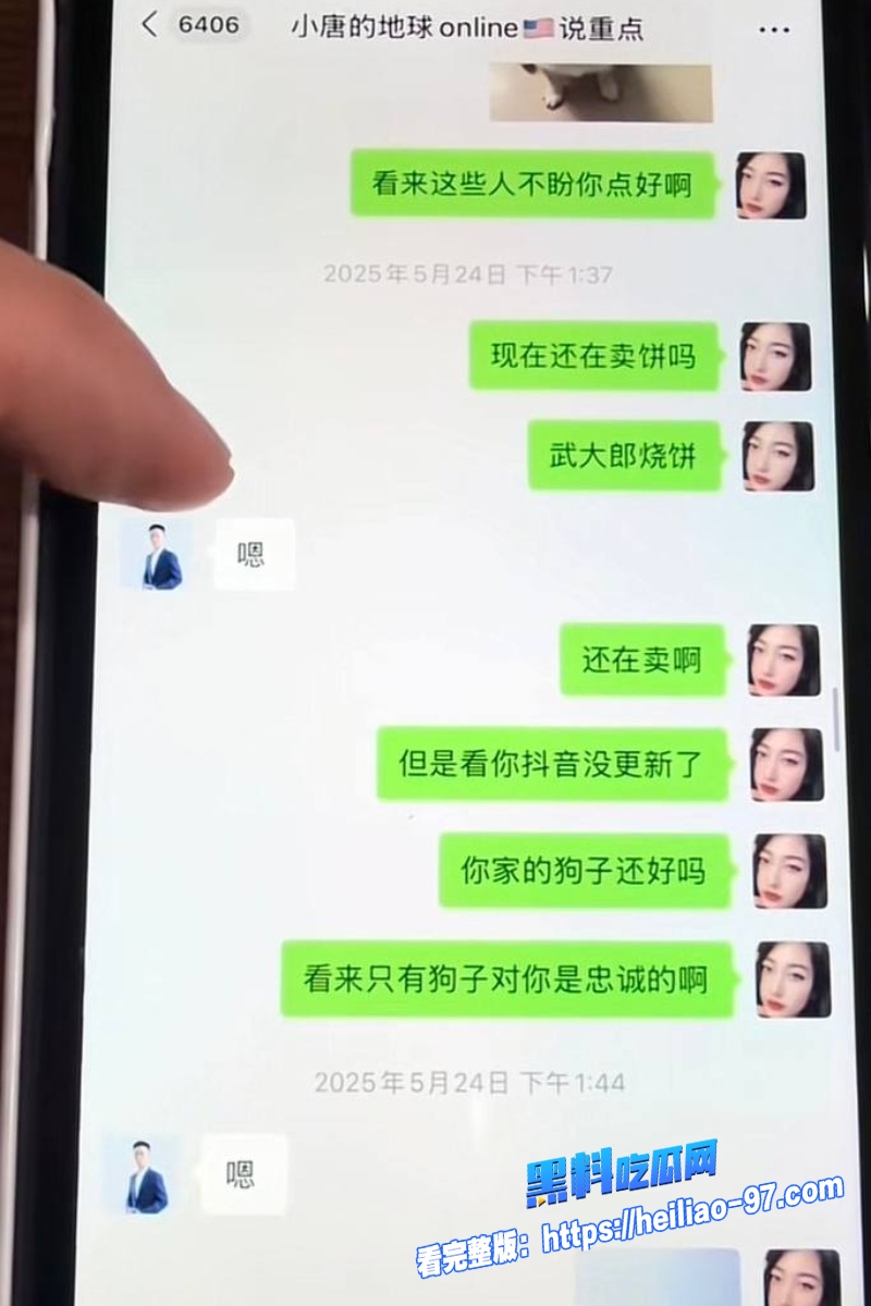 洛杉矶华人网红小唐酱香饼31
