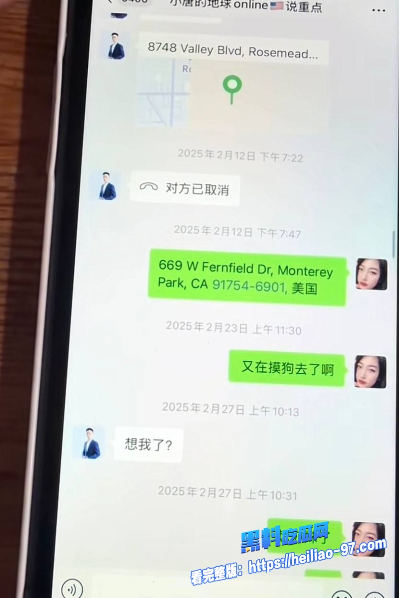 洛杉矶华人网红小唐酱香饼37