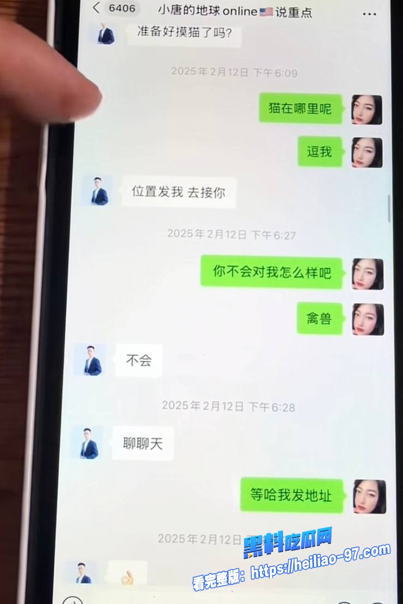 洛杉矶华人网红小唐酱香饼41