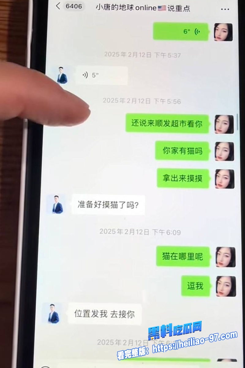 洛杉矶华人网红小唐酱香饼42