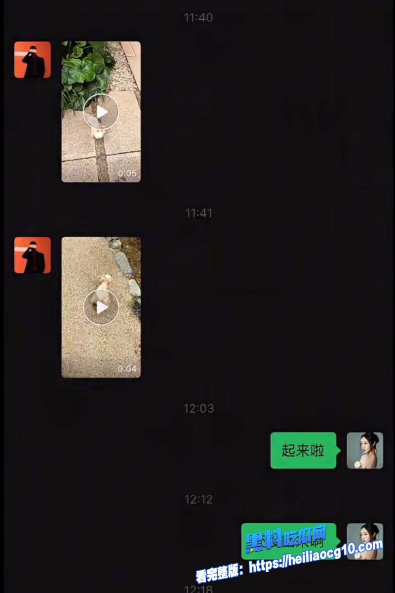 小冠军巴扎黑19