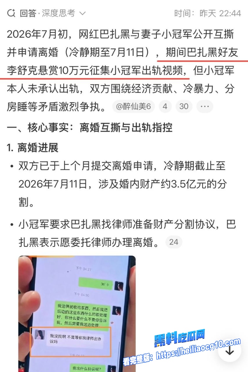 小冠军巴扎黑27