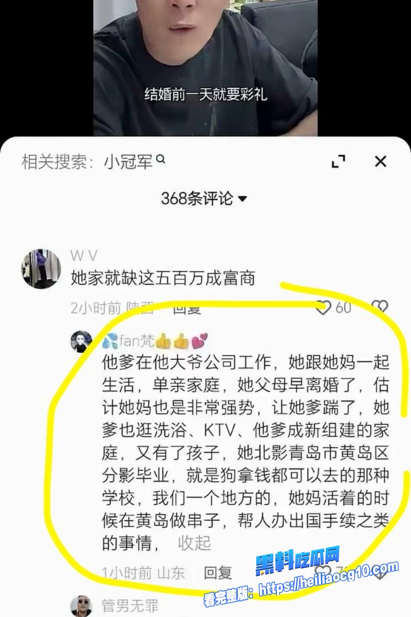 小冠军巴扎黑28