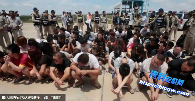 5年672名马来西亚公民被卖猪仔 华裔占531人01