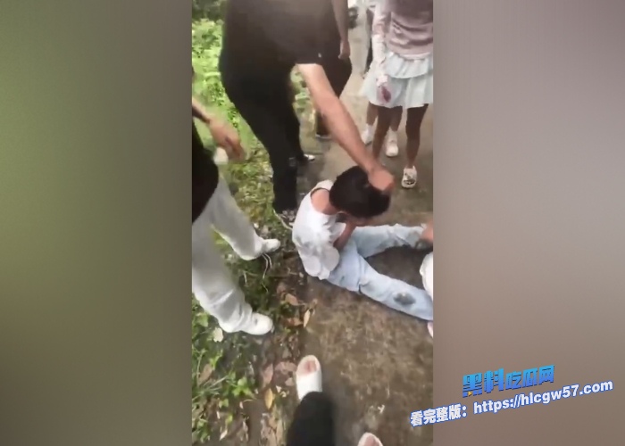 江西万载精神小妹校园霸凌事件几个精神小妹和男友霸凌同学20个打一个围殴脚踹掌掴黑料吃瓜网独家整理最新视频资源放送 图9