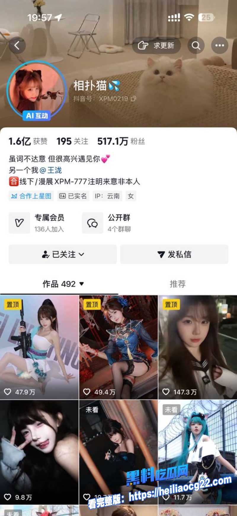 抖音网红相扑猫0