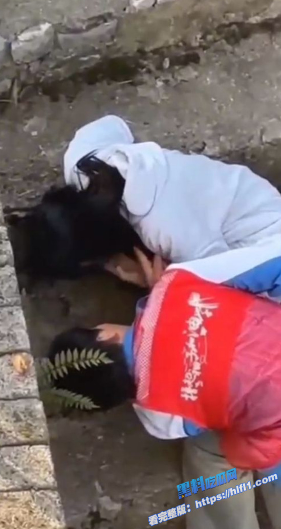 饥渴男子大白天在野外 站在台阶上让女友帮忙口交 口爆吞精把女友都整吐了!3 饥渴男子大白天在野外 站在台阶上让女友帮忙口交 口爆吞精把女友都整吐了!3