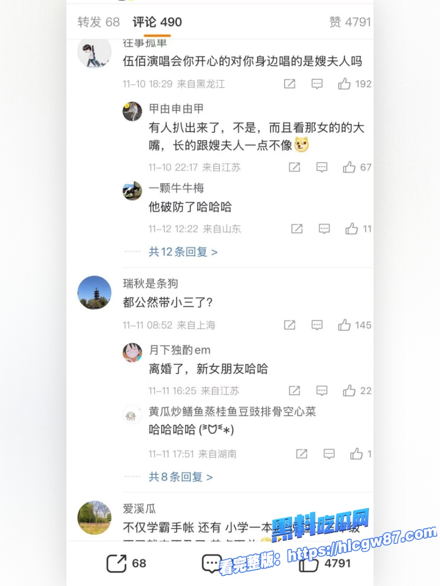 张雪峰与情妇看伍佰演唱会被现场抓包 15