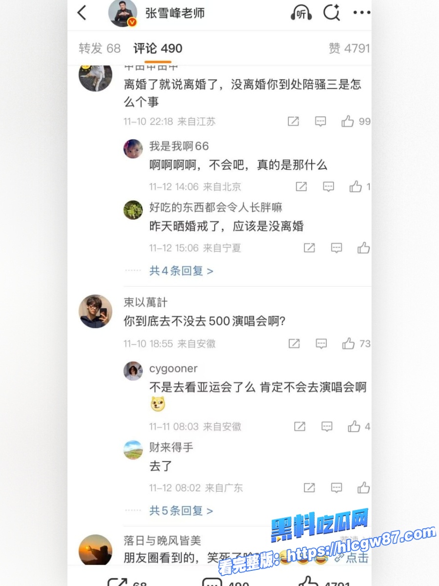 张雪峰与情妇看伍佰演唱会被现场抓包 17