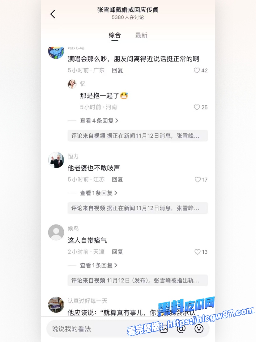 张雪峰与情妇看伍佰演唱会被现场抓包 18
