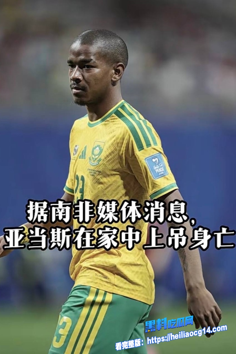 2026美加墨世界杯1