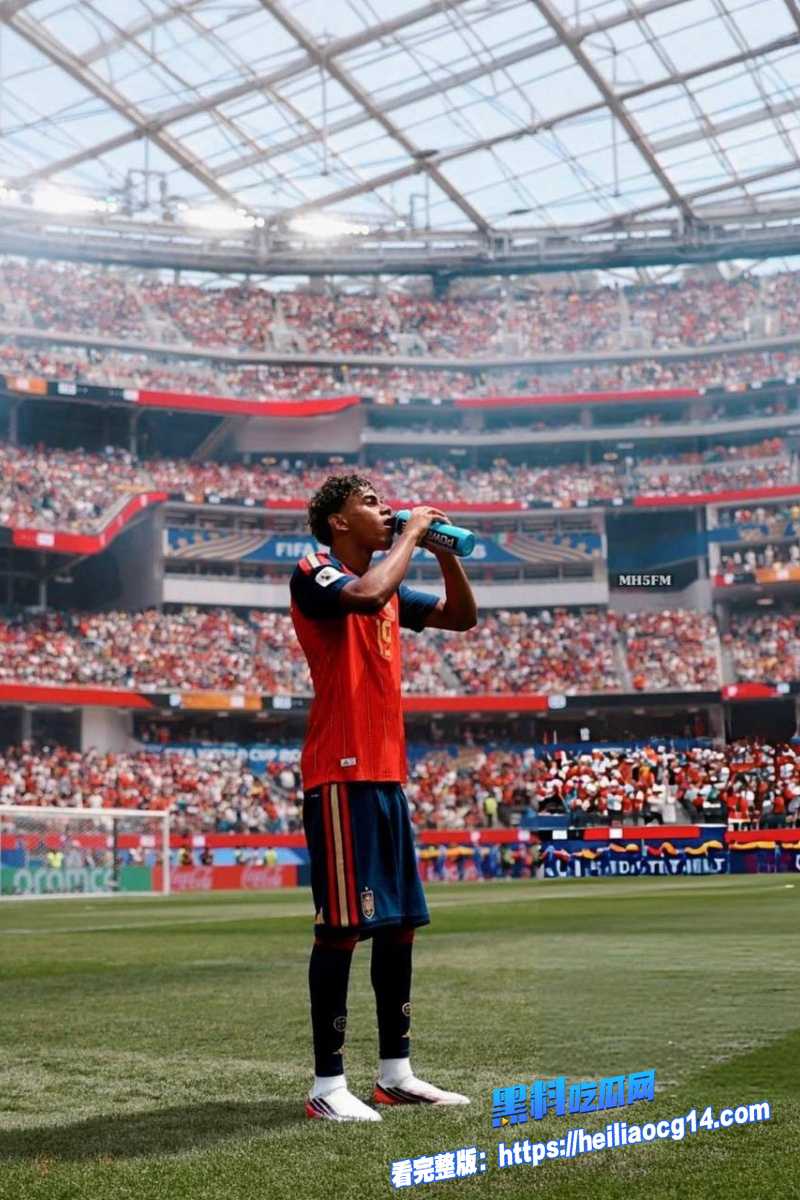 2026年美加墨世界杯14 2026年美加墨世界杯14