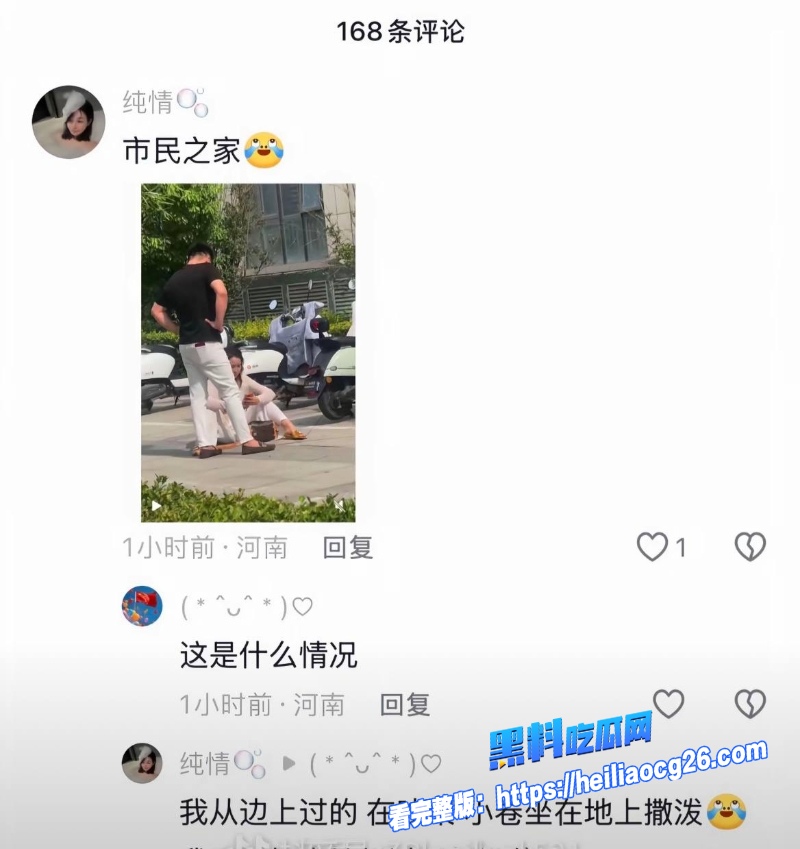 河南汝州娟子22 河南汝州娟子22