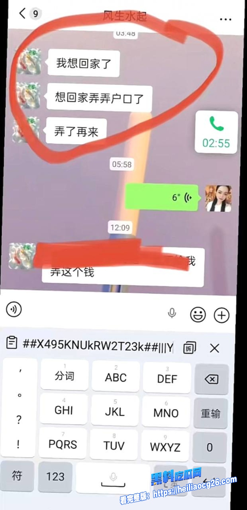河南汝州娟子25 河南汝州娟子25