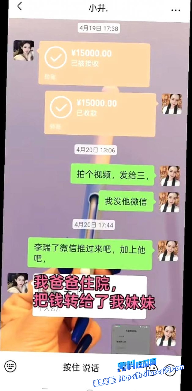 河南汝州娟子29 河南汝州娟子29