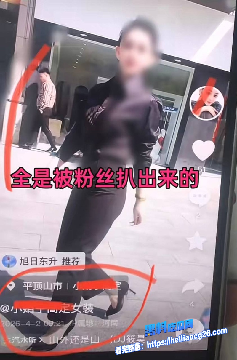 河南汝州娟子32 河南汝州娟子32