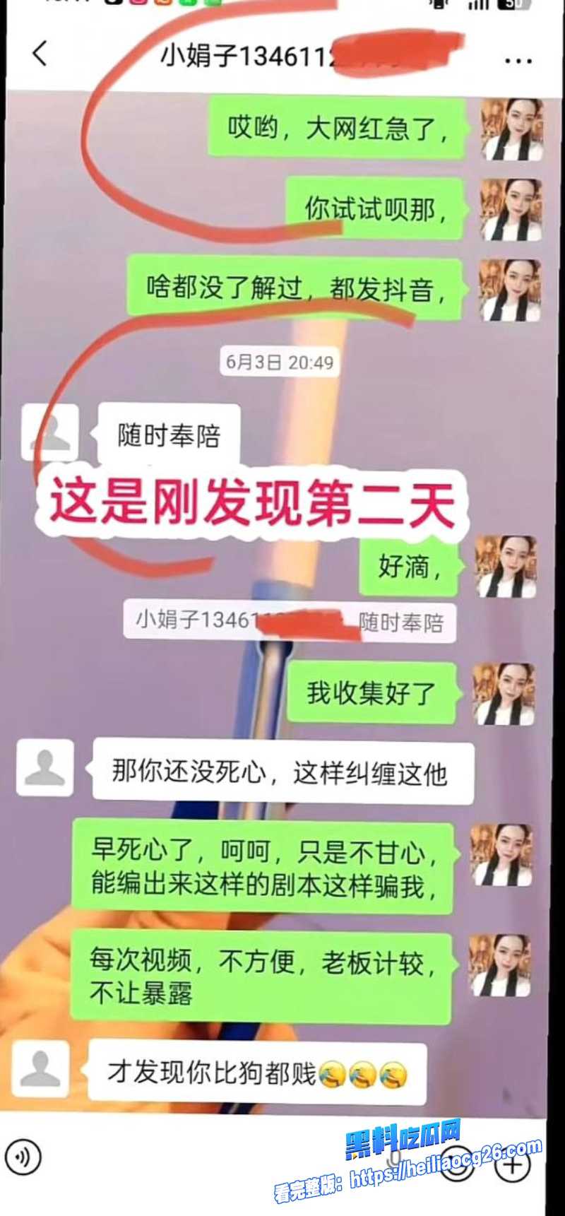 河南汝州娟子34 河南汝州娟子34