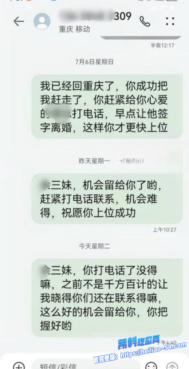 重庆垫江县副主任余凤春节被原配怒曝约炮视频 13