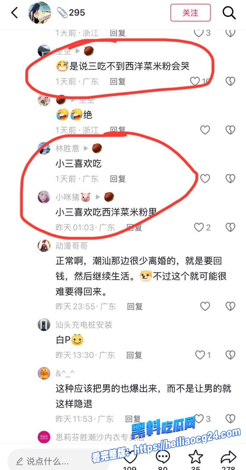 抖音网红叶哈哈30