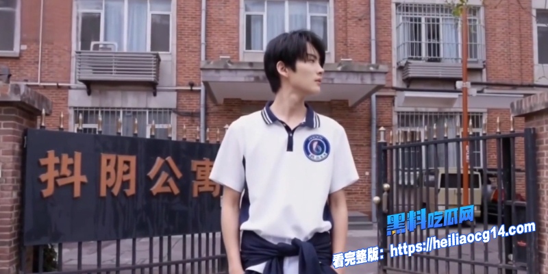 顶流明星佟丽娅5