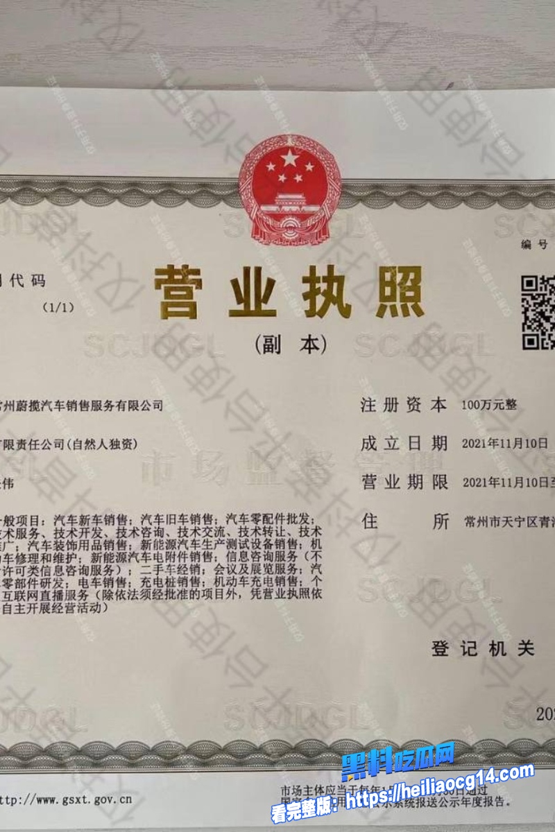 抖音网红懂车大伟7