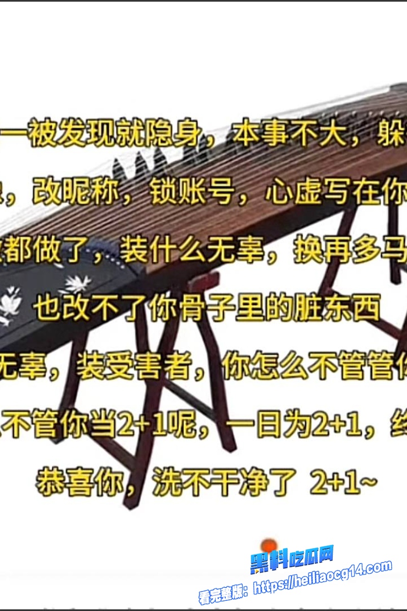抖音网红懂车大伟24