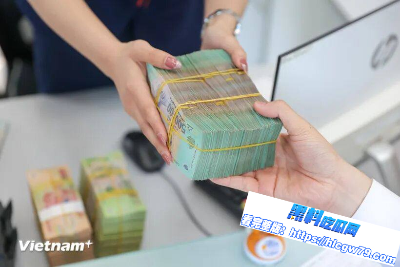 越南央行出手 11月起超5亿越南盾转账将受严密监控01 越南央行出手 11月起超5亿越南盾转账将受严密监控01