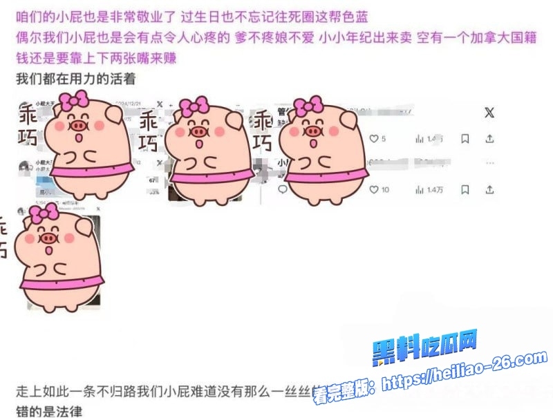 抖音福利姬小屁大王男友苏福国家队运动员身份曝光佛光道空翻替身和激情视频被扒 22