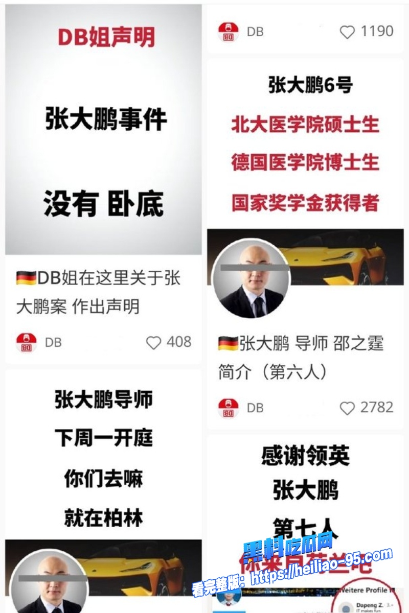 德国精英张大鹏4