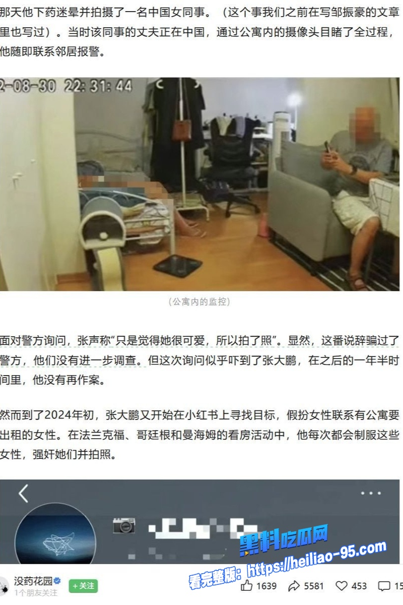 德国精英张大鹏6