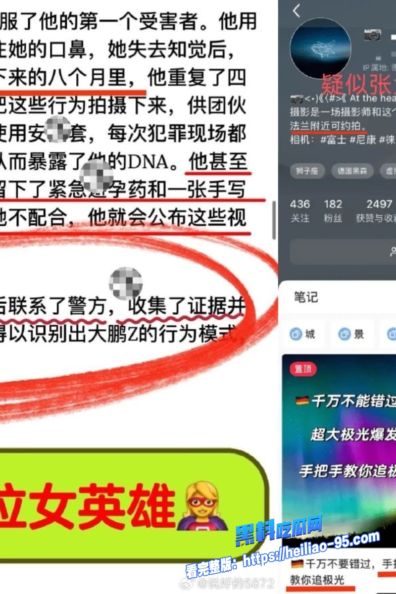 德国精英张大鹏7