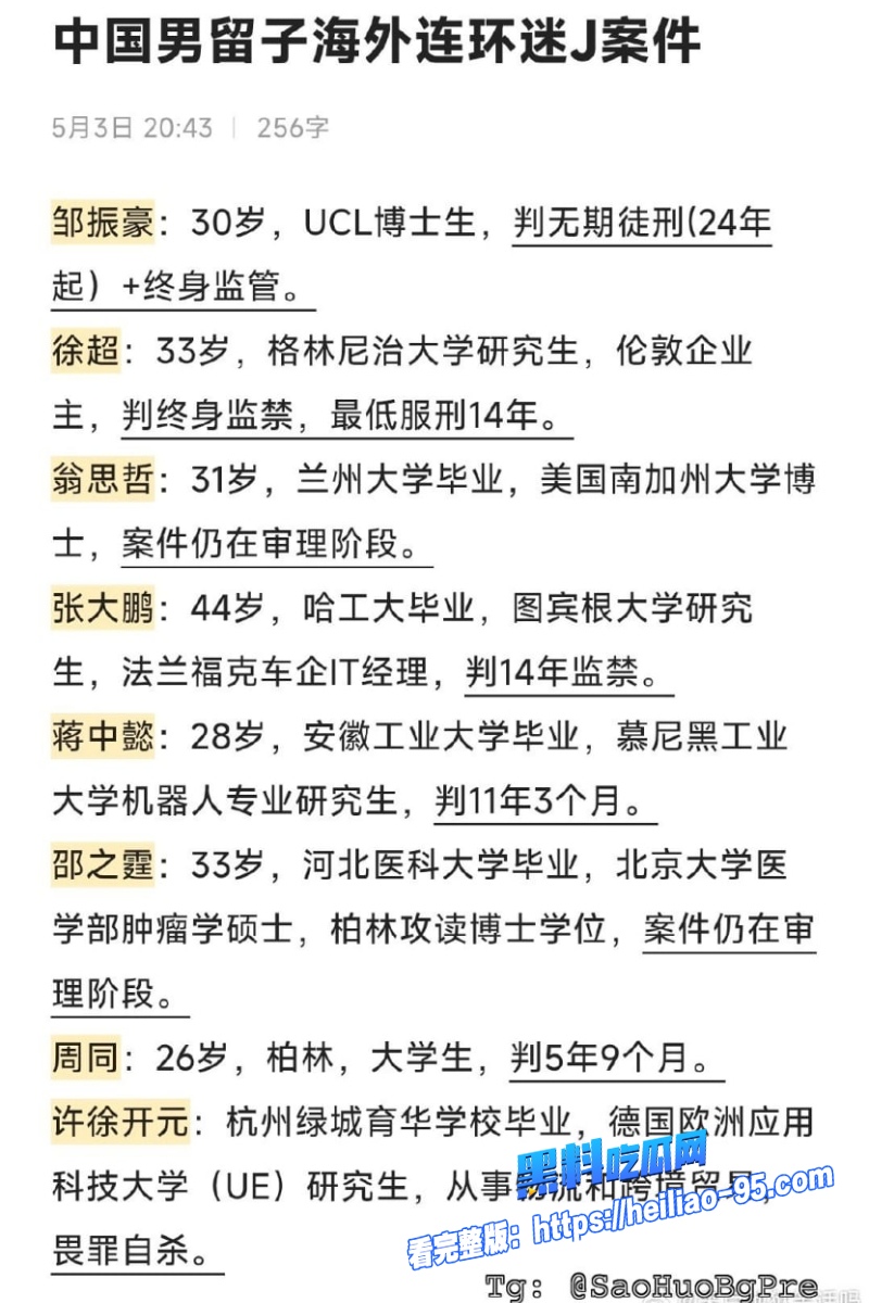 德国精英张大鹏8