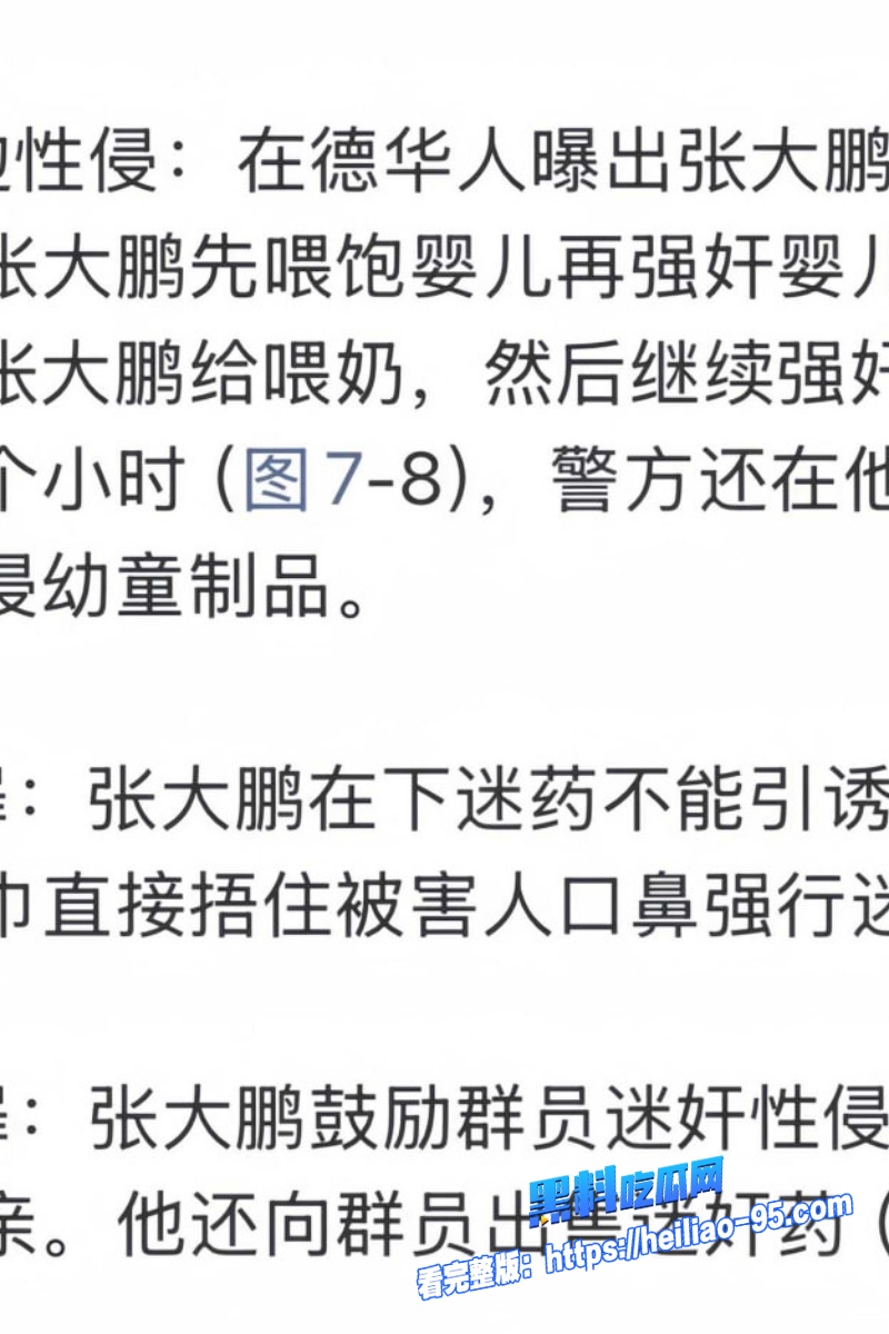 德国精英张大鹏10