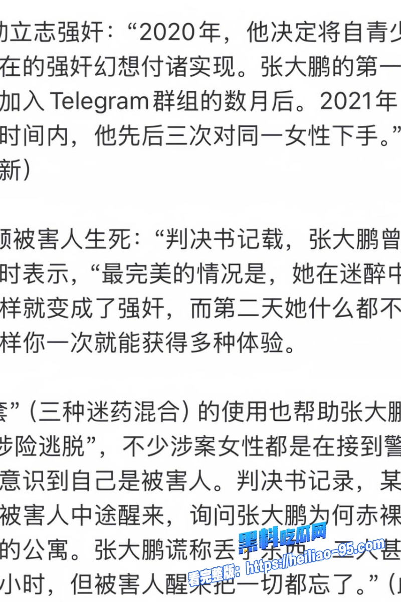 德国精英张大鹏11