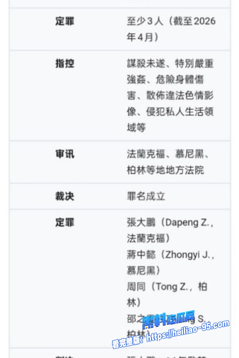 德国精英张大鹏17